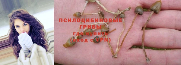 эйфоретик Вязьма