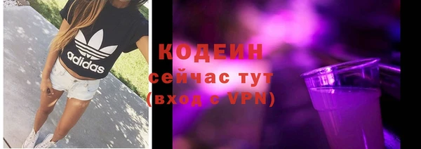 молекула духа Волосово